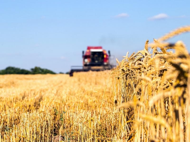 Toshkent viloyatida zamonaviy agrosanoat klasteri tashkil etiladi