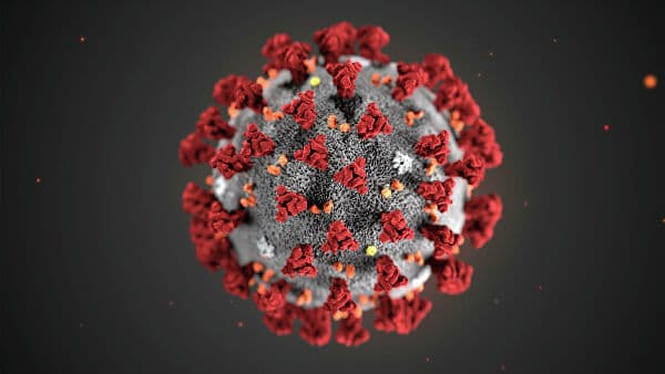O‘zbekistonda yana uch kishida koronavirus aniqlandi