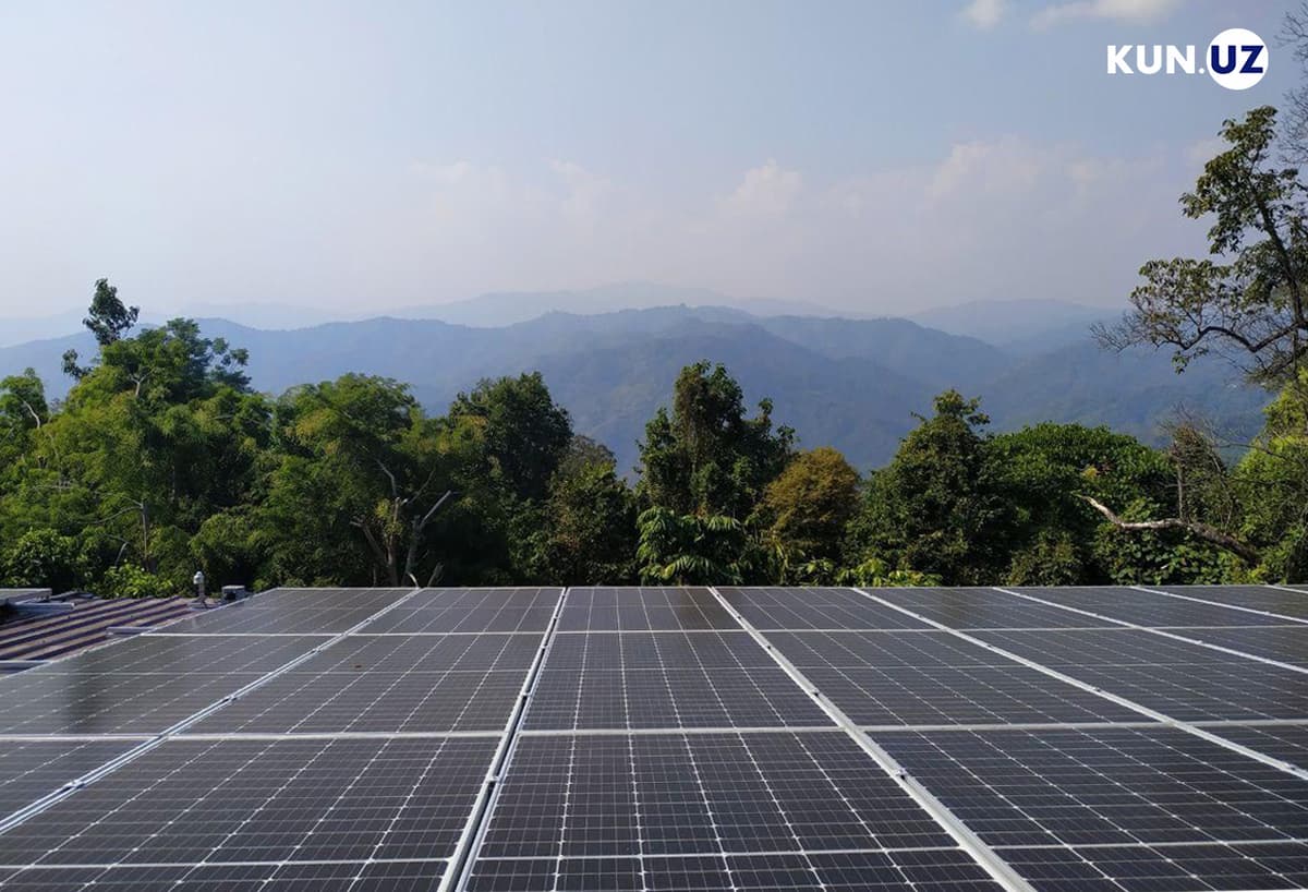 IFC to support Uzbekistan in holding the second tender for construction of solar power plants
