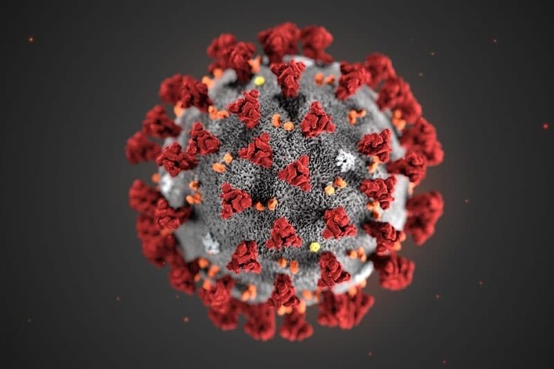 O‘zbekistonda koronavirus infeksiyasi aniqlanganlar soni 13 kishiga yetdi
