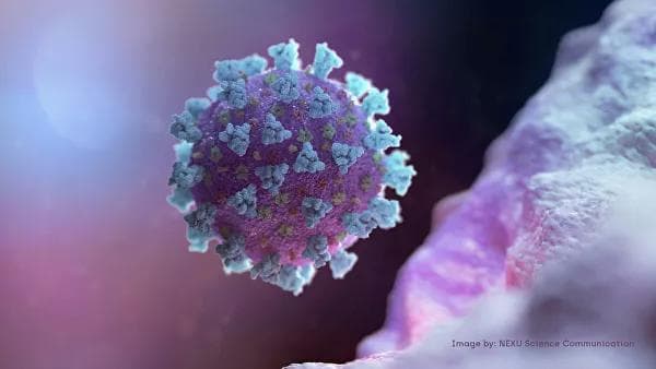 Koronavirus turli jismlar yuzasida 72 soatgacha yashashi mumkin