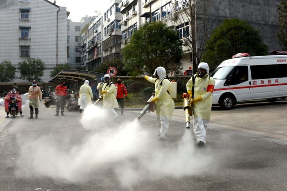Xitoyda yana bir xavfli virus aniqlandi. Hozircha parrandalar orasida