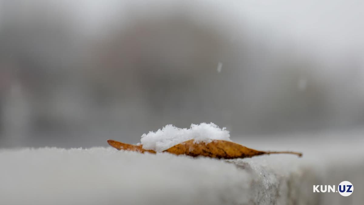 O‘zbekistonda qish nega deyarli qorsiz o‘tmoqda?