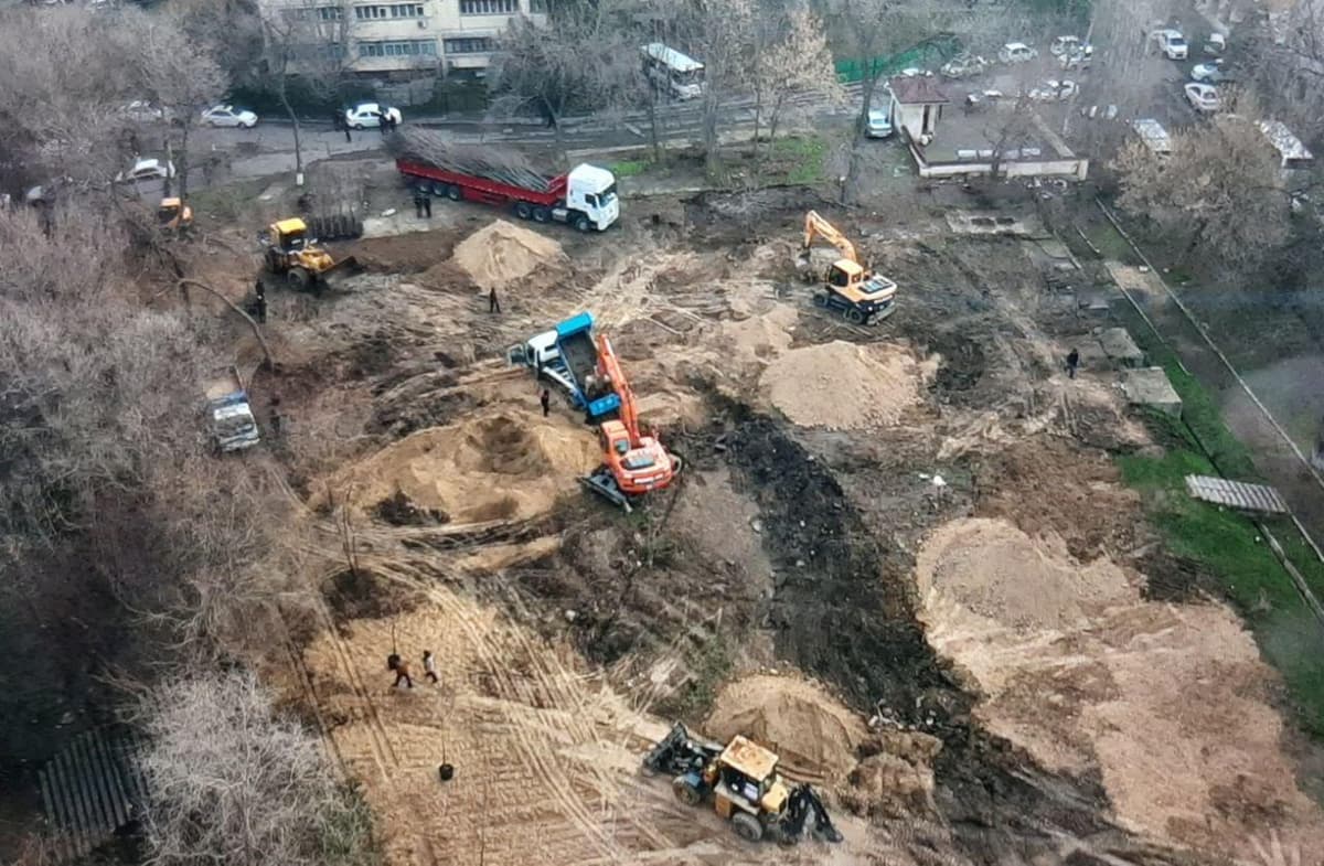 81ta daraxt kesilgan hududni quruvchiga berishda amaldagi tartibga rioya qilinmagani ma'lum bo‘ldi
