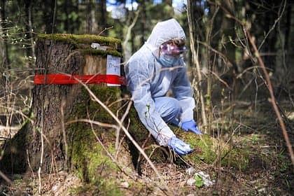 Amerikalik olim dunyoga yangi «dahshatli» virus xavf solayotganini ma'lum qildi