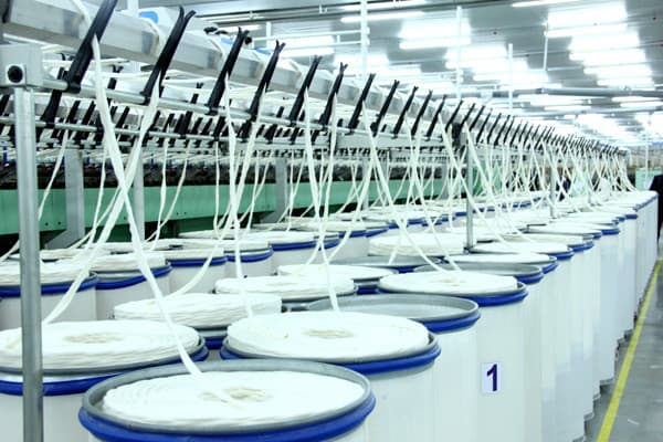Cotton and textile clusters of Uzbekistan may directly cooperate with world brands
