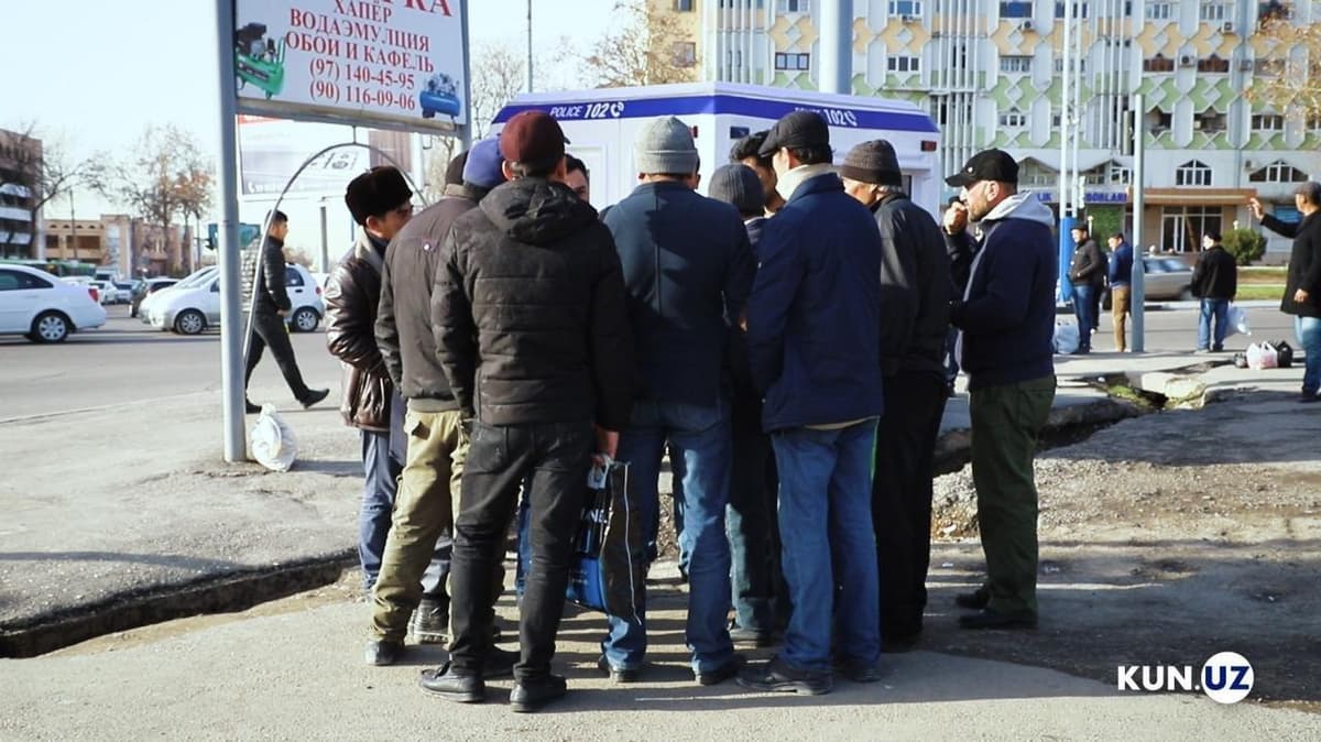 Maxsus ilova orqali kunlik ishlar uchun kerakli mutaxassisni yollash mumkin bo‘ladi – vazirlik