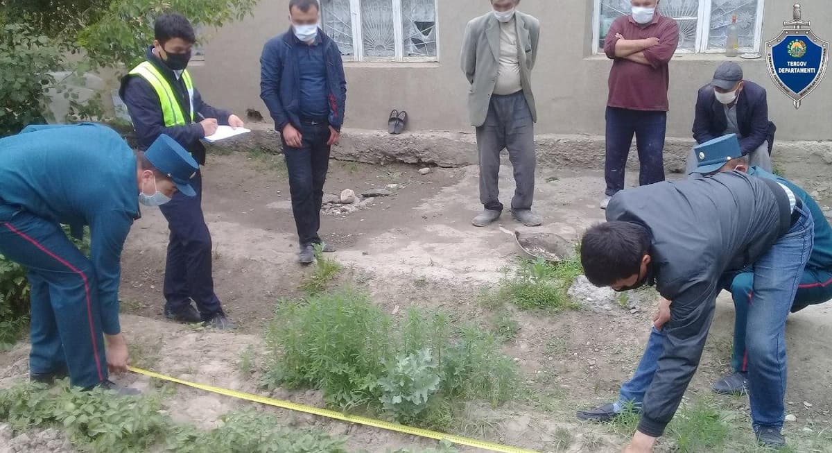 Samarqanddagi xonadonda 108 tup «ko‘knori» o‘simligi ekilgani aniqlandi