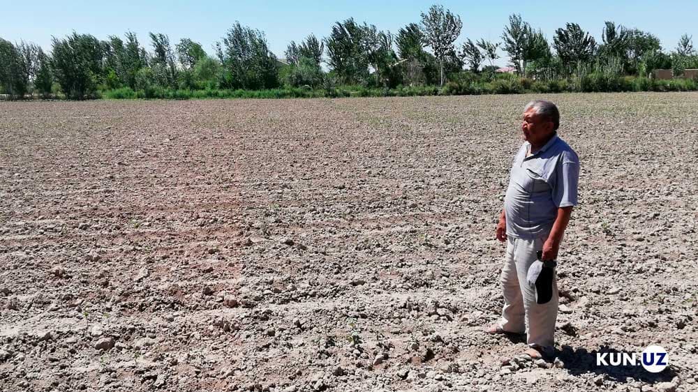 Hazorasplik fermer yerdan mahrum qilindi, u mutasaddi tashkilotlar ishidagi chalkashliklardan shikoyat qilmoqda