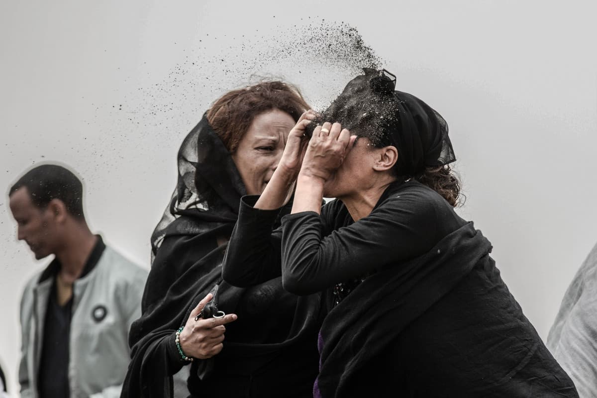 2019 yilning eng yaxshi fotosuratlari e'lon qilindi