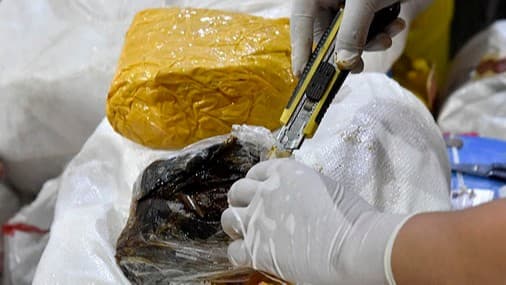Surxondaryoda fuqaro 3 kilogramm «opiy» bilan ushlandi