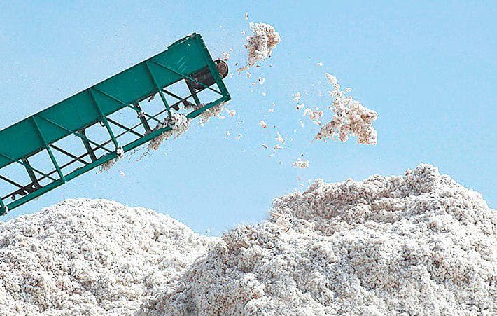 Paxta tozalash korxonalari negizida fermer xo‘jaliklarining ixtiyoriy kooperatsiyalari tashkil etiladi