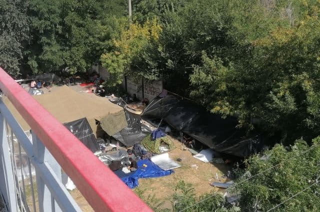 900dan ko‘proq o‘zbekistonlik Rostov-Dondan keltiriladi