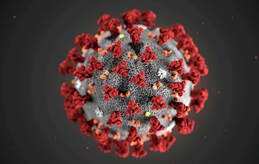 Suriyalik kurdlar koronavirus epidemiyasi ortida o‘t ochishni to‘xtatishga rozi bo‘ldi