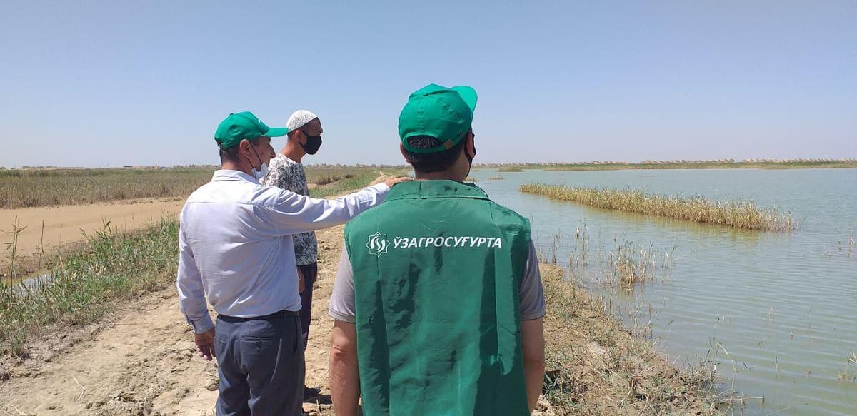 “O‘zagrosug‘urta”: mirzaobodlik baliqchining 138 mln so‘mlik zarari qoplandi