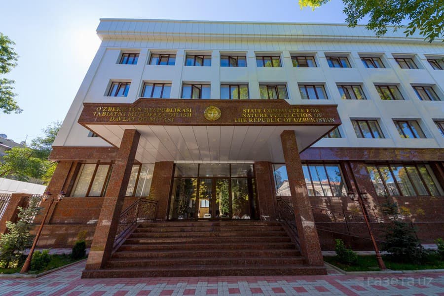 Ekologiya qo‘mitasi matbuot kotibi ishdan bo‘shashga majburlanmoqda. U Ramatov bo‘yicha «g‘alati topshiriq»ni bajarishga ko‘nmagani uchun bosimga uchraganini aytmoqda