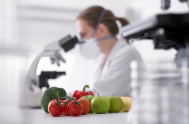 В Бухаре и Намангане построят лаборатории для выявления ГМО в продуктах