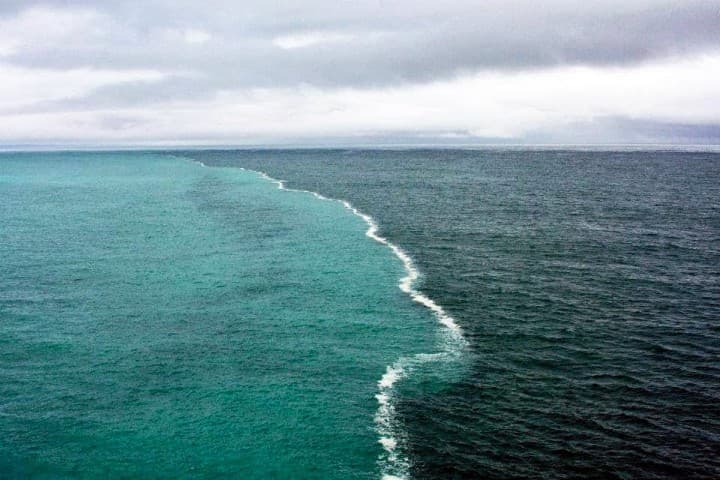 To‘lqinlar uchrashganda: yondosh, lekin qo‘shilmaydigan suv havzalari (fotogalereya)
