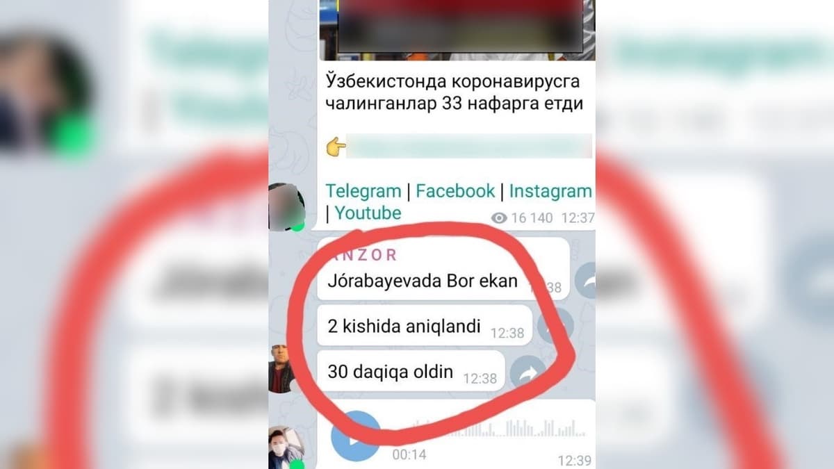 Ijtimoiy tarmoqda vahimali va yolg‘on ma'lumot tarqatgan shaxsga jarima jazosi tayinlandi