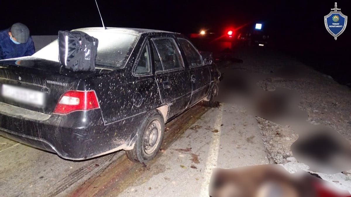 В Байсуне водитель «Нексии» наехал на стадо баранов и насмерть сбил пастуха 