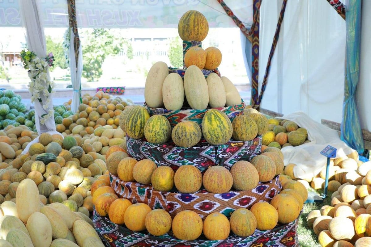 Foto: Buxoroda qovun sayli boshlandi