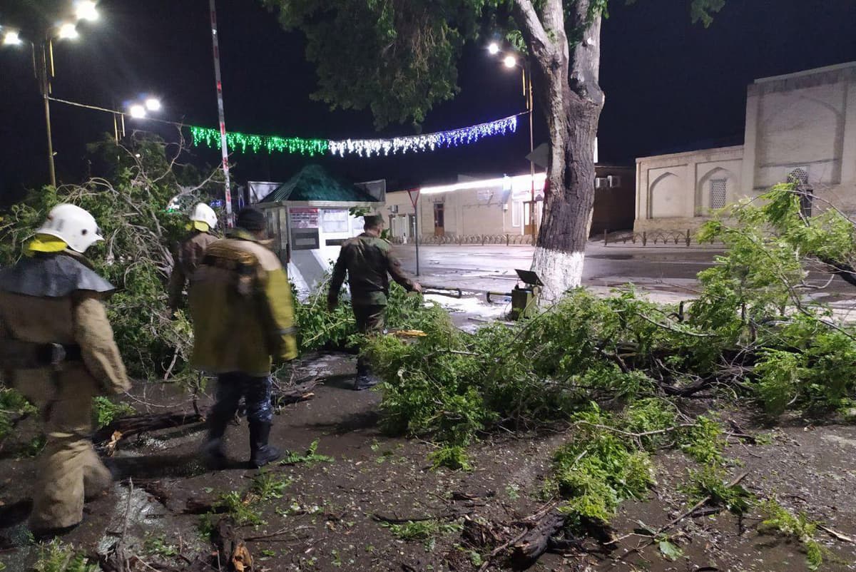 В Бухаре из-за сильного ветра погиб один человек, 30 пострадали
