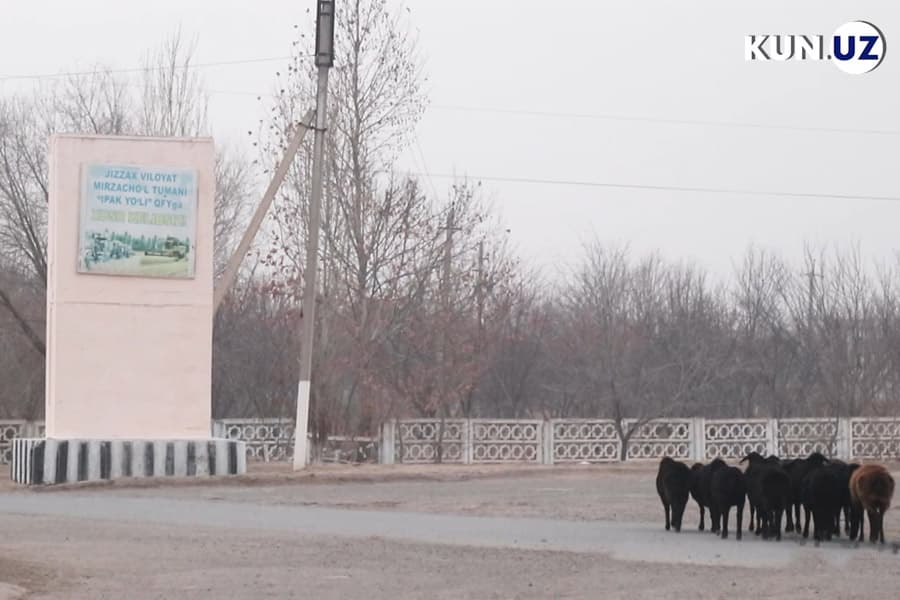 «Iflos havodan bo‘g‘ilyapmiz» - Mirzacho‘ldagi mahalla korxona qurilishiga qarshi, hokimlik tegishli boshqarmalar xulosasini inobatga olmayapti