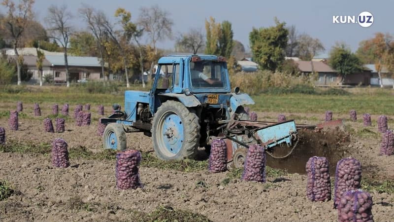Xalqaro mehnat tashkilotining mehnat inspeksiyasi sohasidagi ikkita konvensiyasi O‘zbekiston uchun kuchga kirdi