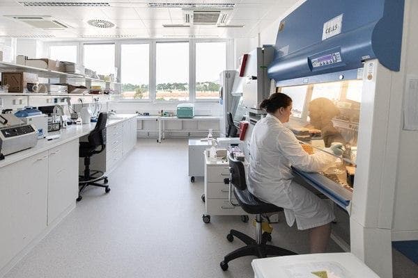 Koronavirus inson organizmiga ideal moslashib olgani ma'lum qilindi