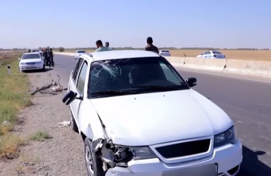 Qashqadaryoda «Neksiya» urib yuborgan velosiped haydovchisi vafot etdi