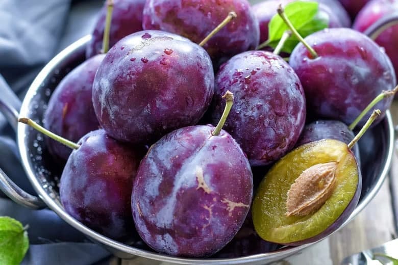 O‘zbekistonda qora olxo‘rizorlar barpo etiladi