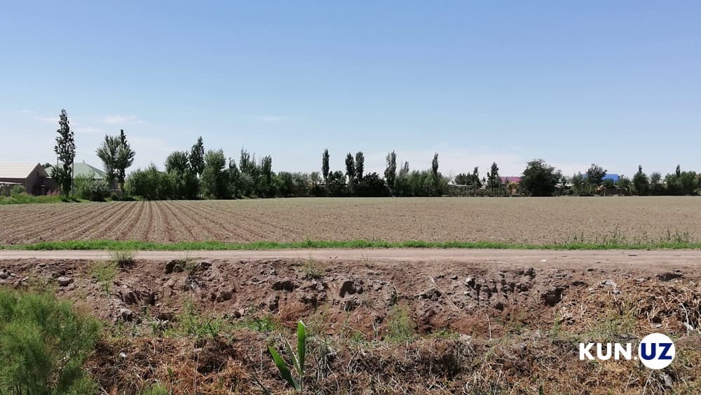 1 avgustdan hokimliklarning yerga oid qator vakolatlari bekor qilinadi