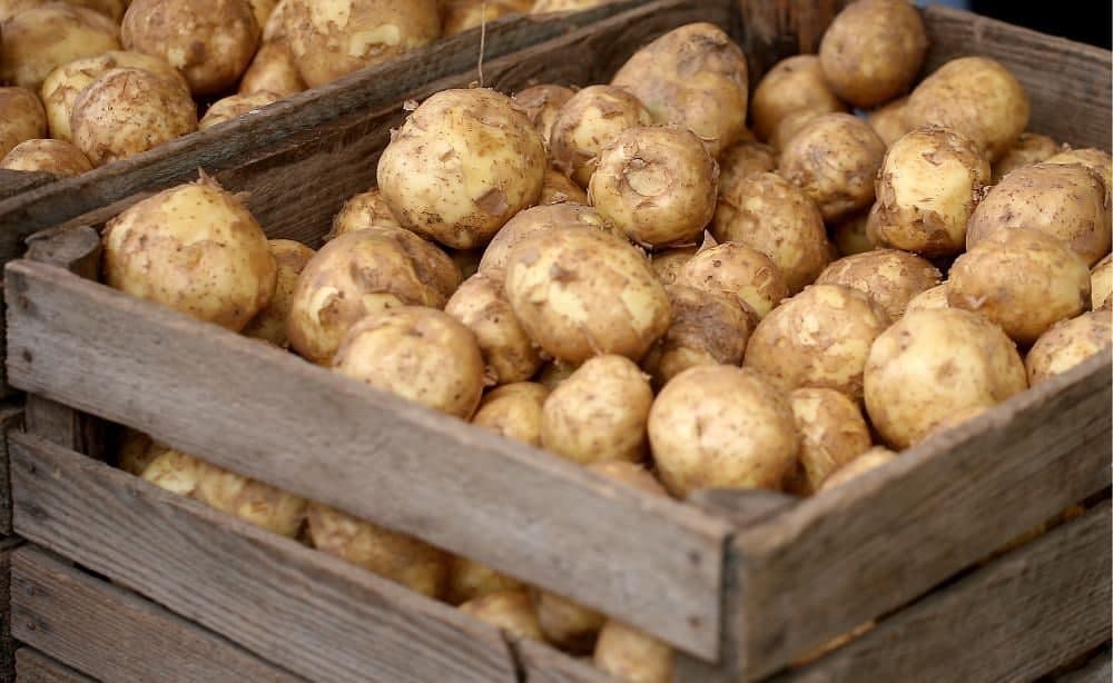 Uzbekistan sharply increases potato imports