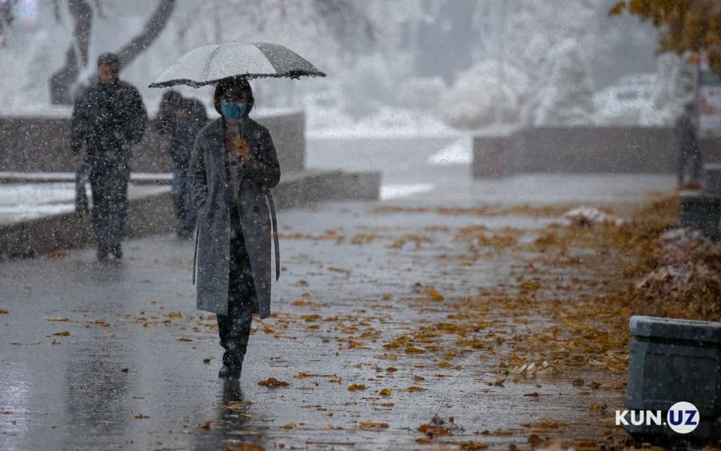 Foto: Toshkentda birinchi qor