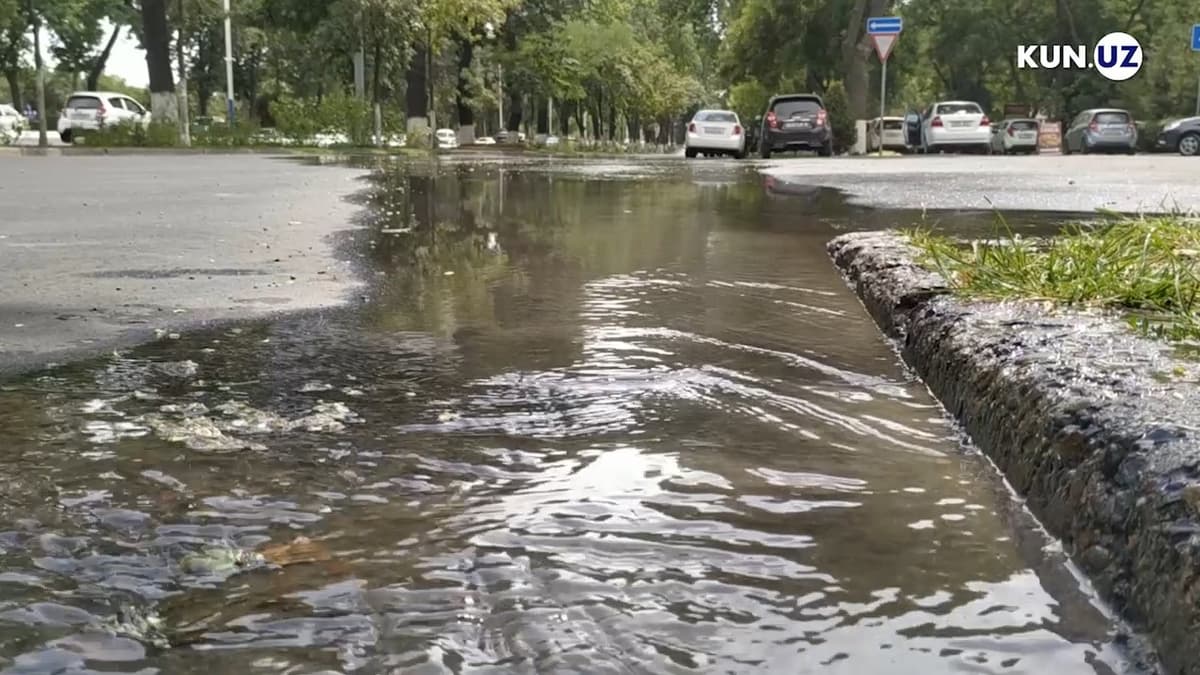 Yerosti suvlari ham cheksiz emas: Toshkentning sug‘orish tizimidagi isrofgarchiliklar