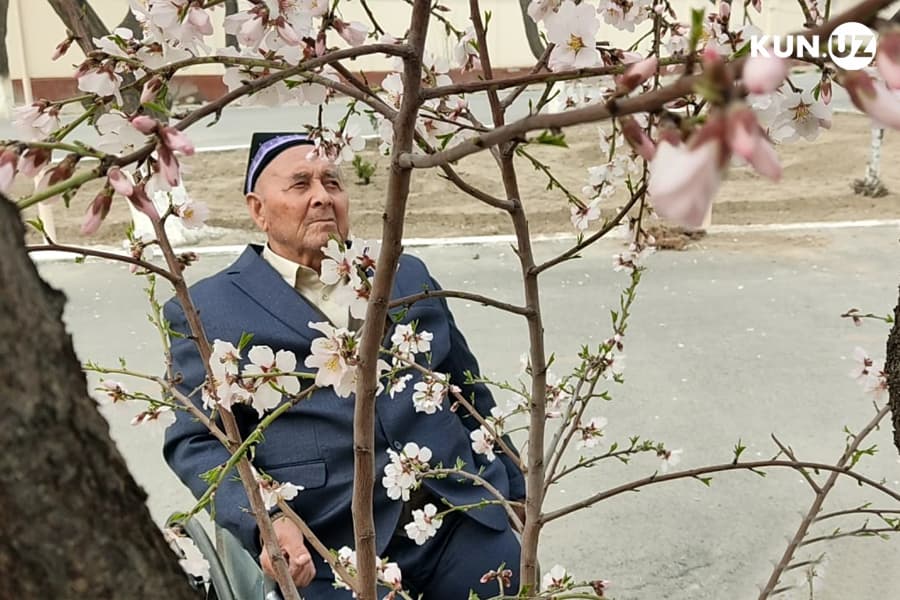 O‘riklar yana gulladi - Farg‘onadagi Saxovat uyiga kelib qolgan Nuriddin ota hikoyasi