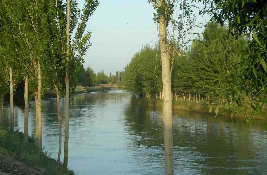Buvaydada kundoshining 9 yoshli qizining boshiga urib, kanalga tashlab yuborgan ayol qo‘lga olindi