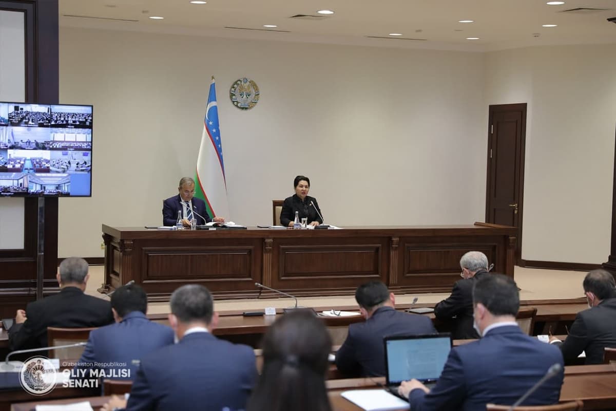 Senatda yangi qo‘mita tashkil etildi