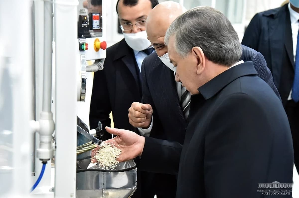 Shavkat Mirziyoyev Quyi Chirchiqda sholi yetishtirib, uni qayta ishlaydigan korxona faoliyati bilan tanishdi