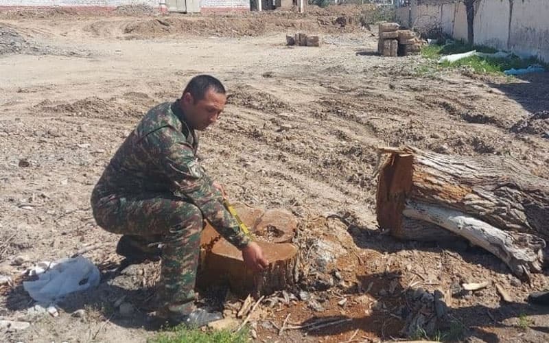 Qarshi shahar hokimligi tomonidan 47 tup daraxt kesib tashlangan - Ekoqo‘mita