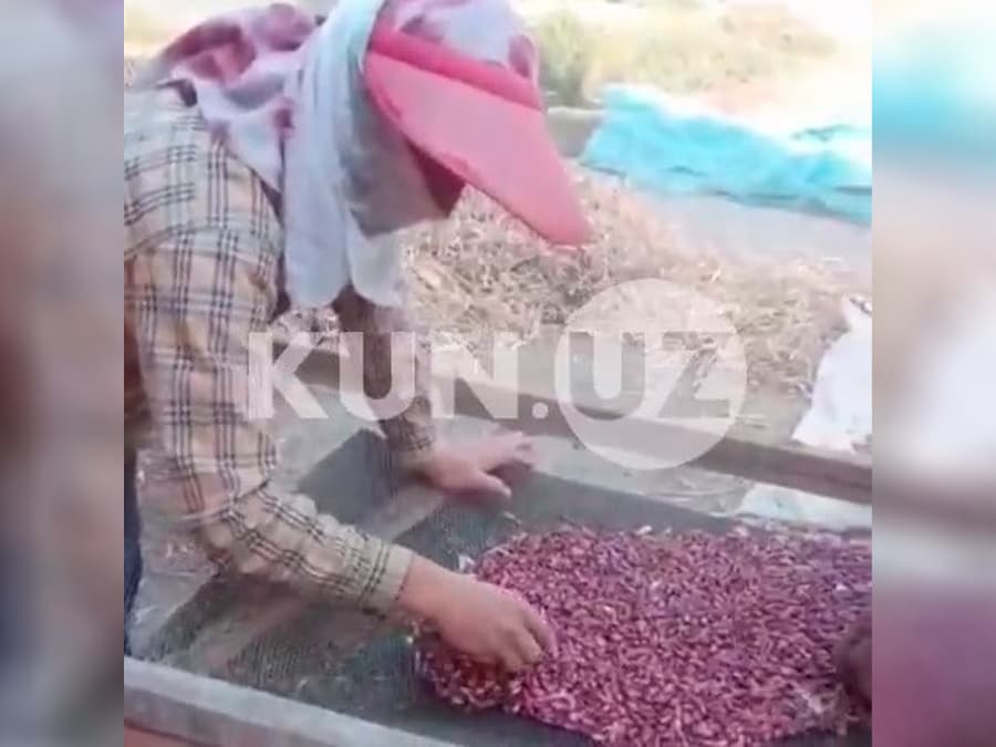 Уйида ободонлаштириш ходимларини ишлатган Бўстон тумани ҳокими ўринбосари 13,5 млн сўм жаримага тортилди