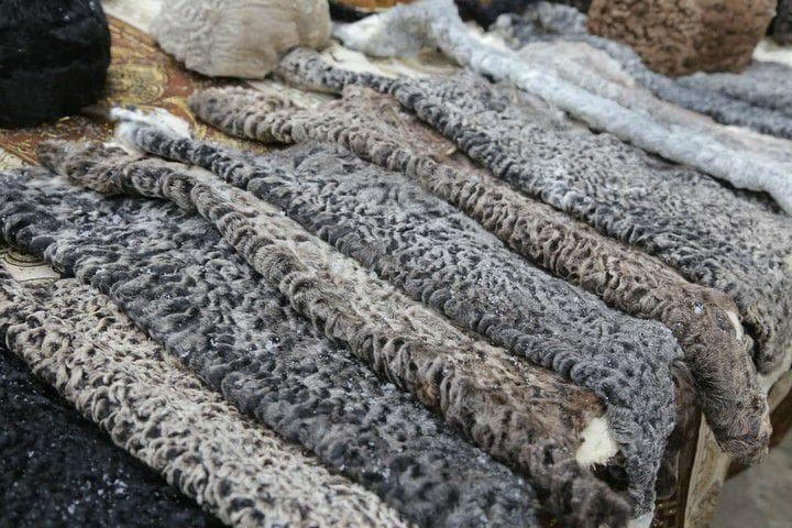 Qorako‘lchilik sub'yektlariga subsidiya beriladi