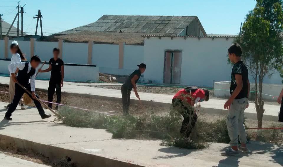 Qashqadaryoda maktab o‘quvchilari majburiy mehnatga jalb qilindi