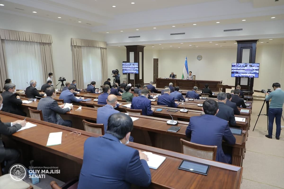 2020 yilda go‘daklar va onalar o‘limi ko‘paygan – Senat
