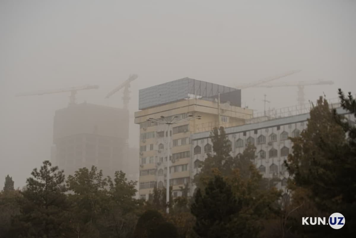 Toshkent havosida chang miqdori me'yordagidan 30 barobargacha ortgani ma'lum qilindi