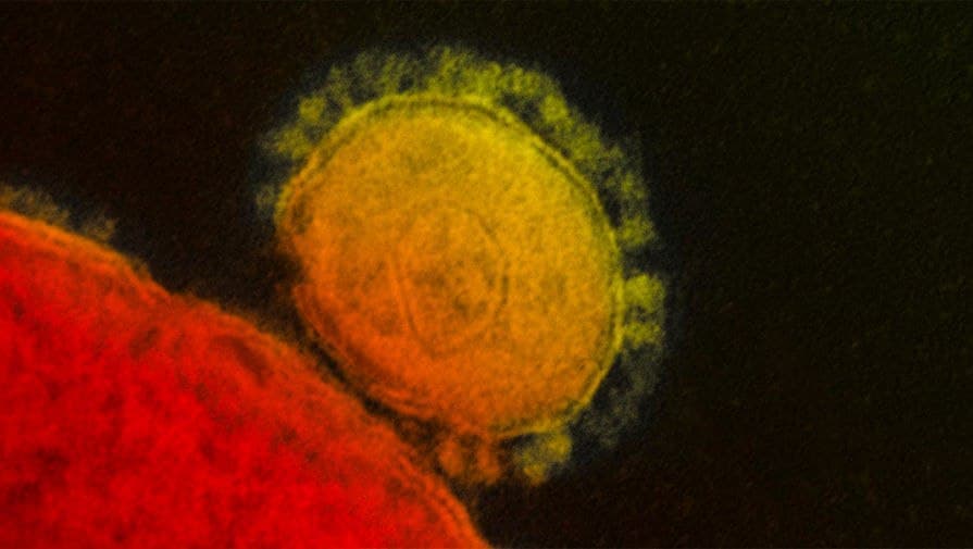 O‘zbekistonda koronavirus bemorlarining 80 foizdan ortig‘ida «delta» shtammi aniqlanmoqda