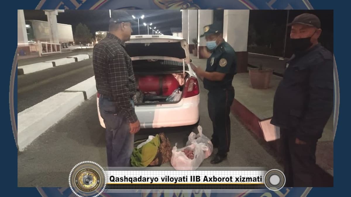 Қашқадарёда Тошкентга олиб кетилаётган 200 килограмм номаълум ҳайвон гўшти тўхтатиб қолинди