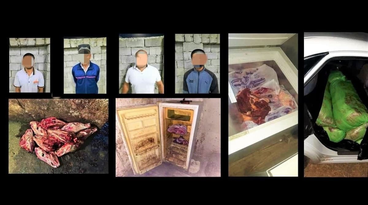 В Кашкадарье вновь выявлен факт заготовки ослиного мяса