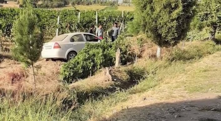 Surxondaryoda sodir bo‘lgan yo‘l-transport hodisasida 7 yoshli qiz vafot etdi