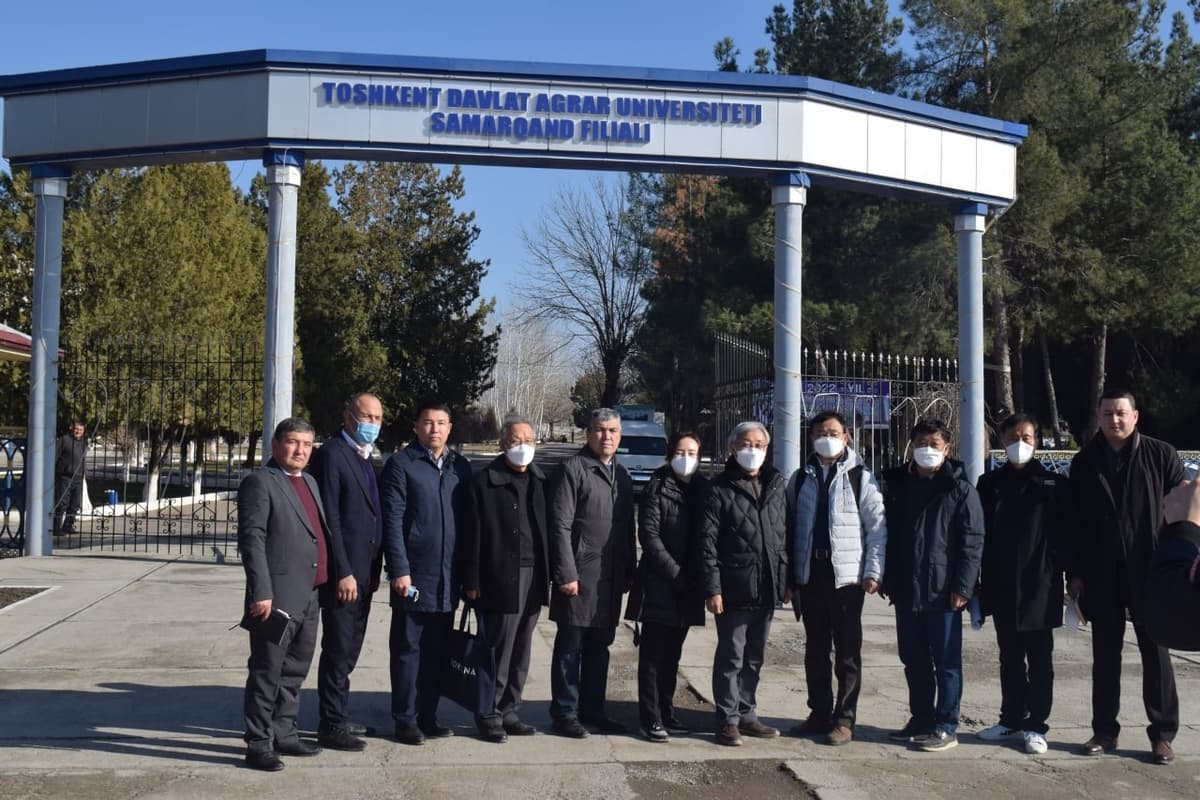 Nazariy bilimlar hayot va amaliyot bilan bog‘lanmoqda - Toshkent davlat agrar universiteti Samarqand filiali misolida